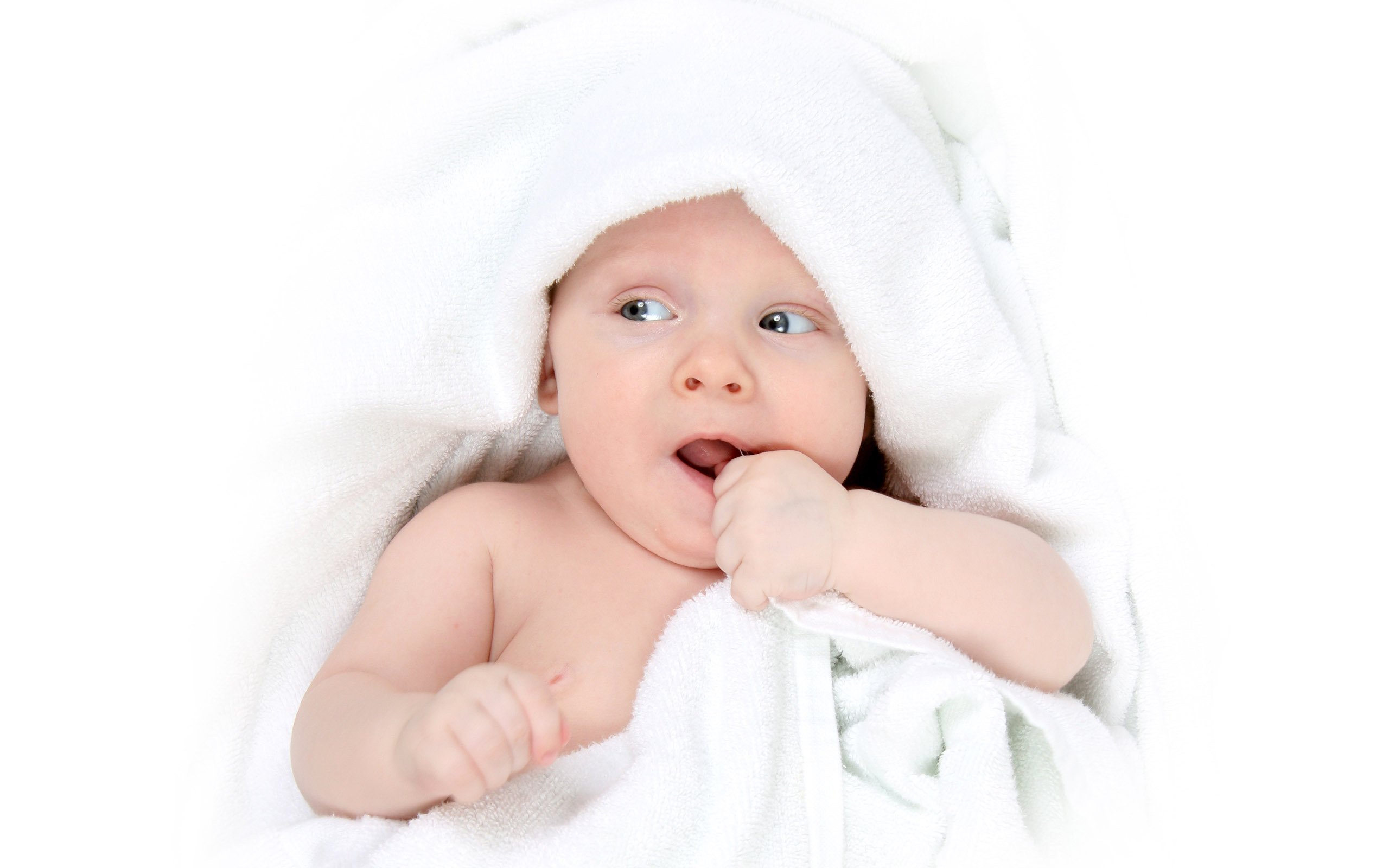 合肥供卵代怀试管婴儿成功几率多大